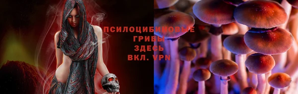 ALPHA-PVP Алексеевка